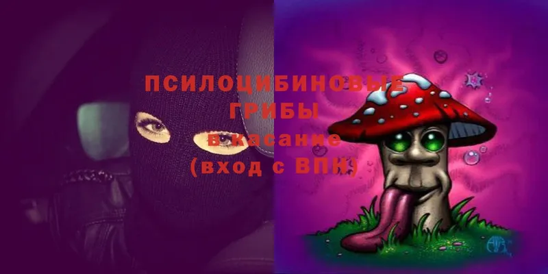 Псилоцибиновые грибы Psilocybine cubensis  даркнет сайт  сайты даркнета состав  Вязники 